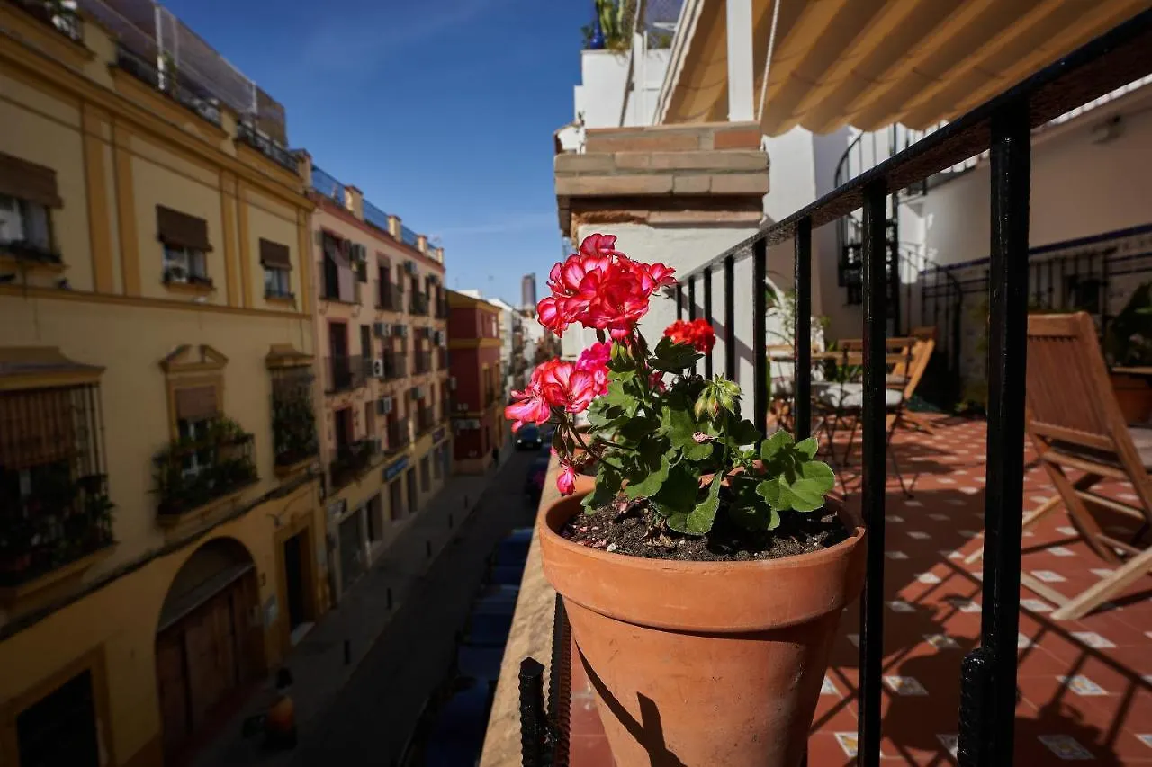 Hotel Casa Pureza Sevilla 0*,